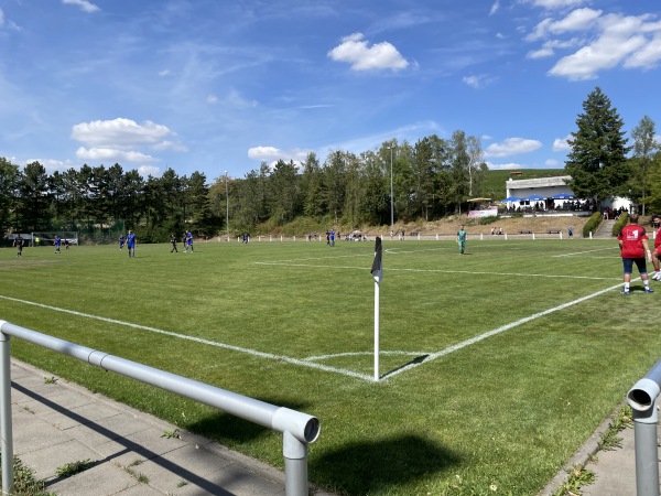Willi Stoll Arena - Alzey-Weinheim