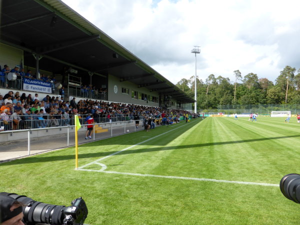 Stadion im Dietmar-Hopp-Sportpark - Walldorf