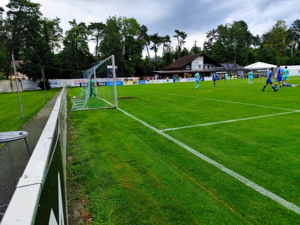 Waldstadion Hard - Hard