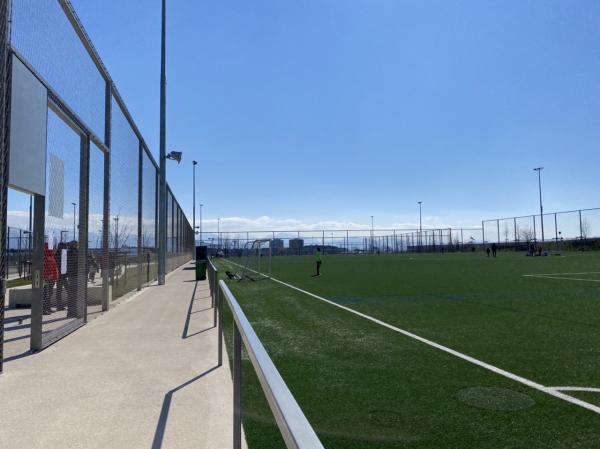 Centre Sportif de la Tuilière terrain 6 - Lausanne