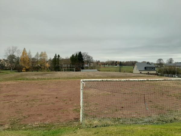 Stadion am Zechenweg Nebenplatz - Auerbach/Erzgebirge