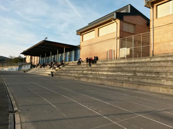 Polideportivo Larrea - Amorebieta-Etxano, Euskadi