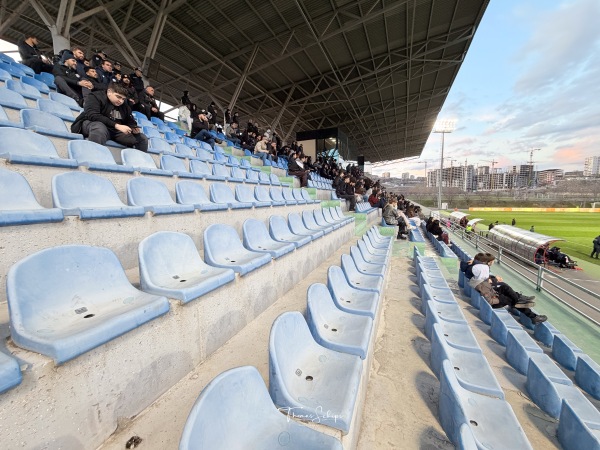 Armenia Football Academy grass - Yerevan