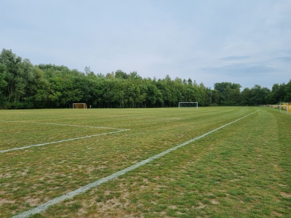 Sportanlage Wienburgpark Platz 2 - Münster/Westfalen-Uppenberg