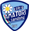 Wappen Calcio Amatori San Donà   132376