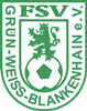 Wappen FSV Grün-Weiß Blankenhain 1990 diverse  67713