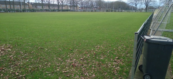 Sportpark Olympia - Baardwijk veld 5 - Waalwijk