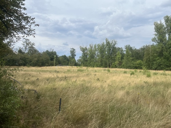 Sportplatz am See - Zeitz-Luckenau