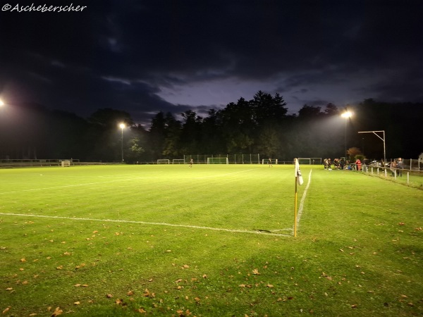 Sportanlage am Festplatz Platz 2 - Hasselroth-Gondsroth