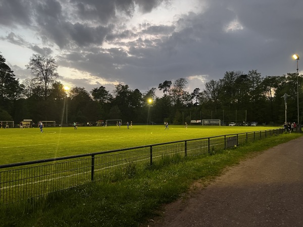 Waldstadion Roteneck - Waldleiningen