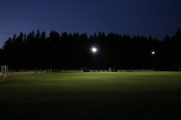 Waldsportplatz - Steinberg/Vogtland-Wernesgrün