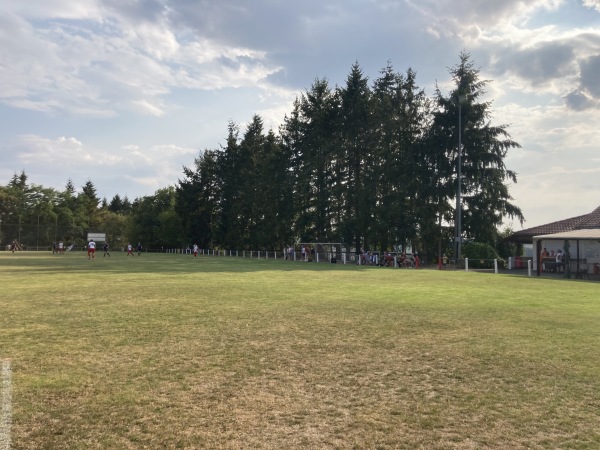 Sportanlage Hoschelwald - Billigheim/Baden-Allfeld