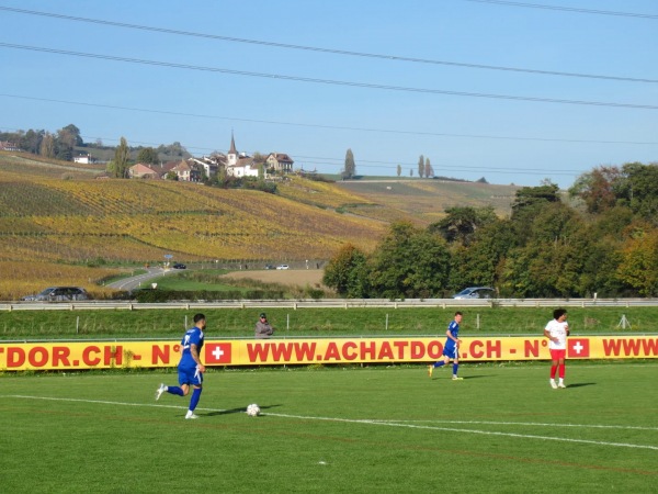 Terrain En Chanivet - Perroy