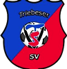 Wappen Triebeser SV 1910 diverse  67120