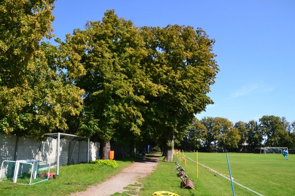 Sportplatz Am Anger - Schönebeck/Elbe-Felgeleben