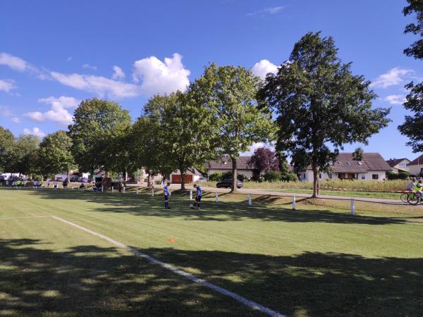 Sportanlage In der Rheinaue - Hartheim/Rhein