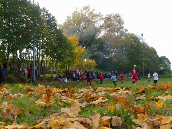 Sportanlage Förderschule Platz 2 - Priestewitz