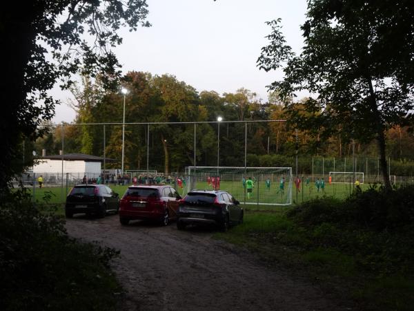 Alter Sportplatz Diersheim - Rheinau/Baden-Diersheim