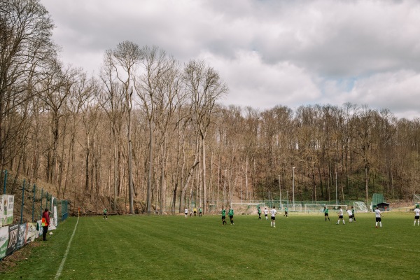 Sportplatz Plexgrund - Lichtentanne-Schönfels