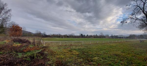 Harly-Stadion - Goslar-Vienenburg