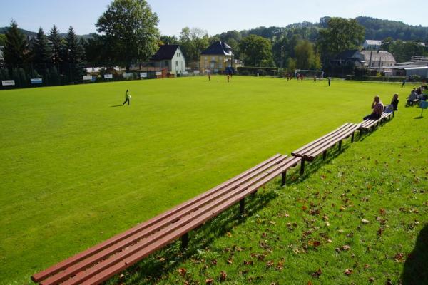 Sportplatz an der Muldentalhalle - Mulda/Sachsen