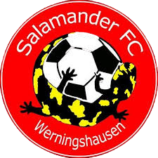 Wappen SV Salamander Werningshausen 1990