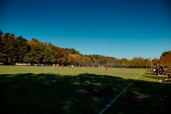 Sportzentrum Langwasser-Süd - Nürnberg-Moorenbrunn