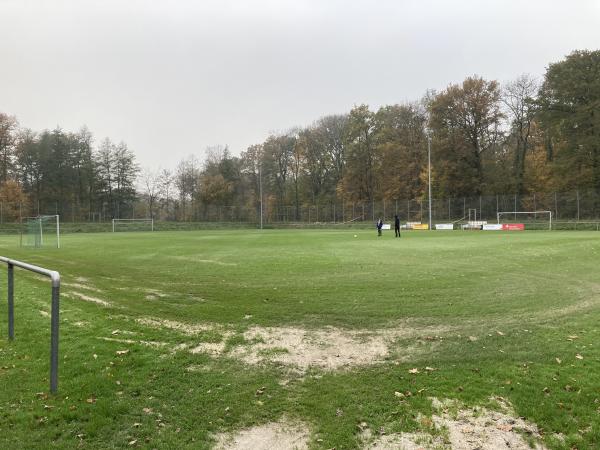 Sportanlage am Brutweiher - Willstätt-Hesselhurst