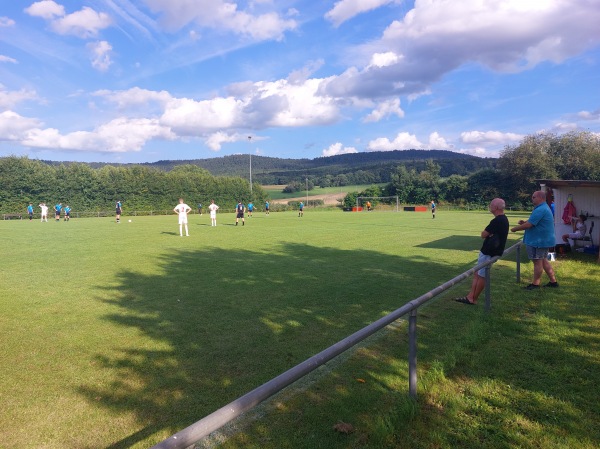Sportanlage in den Auen Platz 2 - Linsengericht-Großenhausen