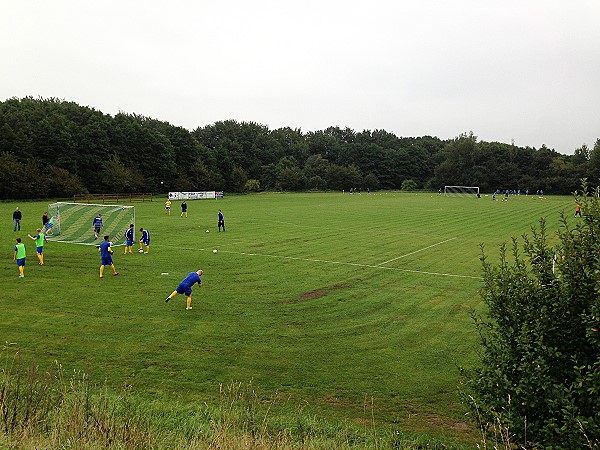 Treenestadion - Oeversee