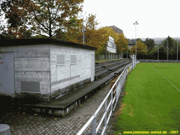 Alter Zustand (Naturrasen)