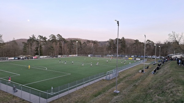 Waldsportplatz am Tierpark - Herborn-Uckersdorf