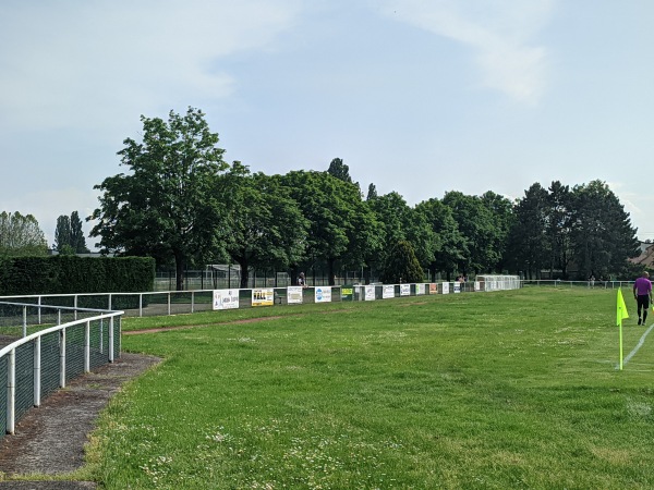 Complex Sportif Roger Hassenforder terrain 1 - Sausheim