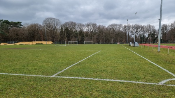 Kattenstadion Terrein 3 - Meerhout