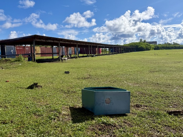 Tuvalu Sports Ground - Funafuti