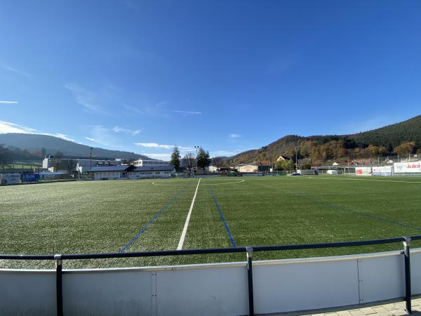 Julabo-Kunstrasen-Arena - Seelbach/Schutter