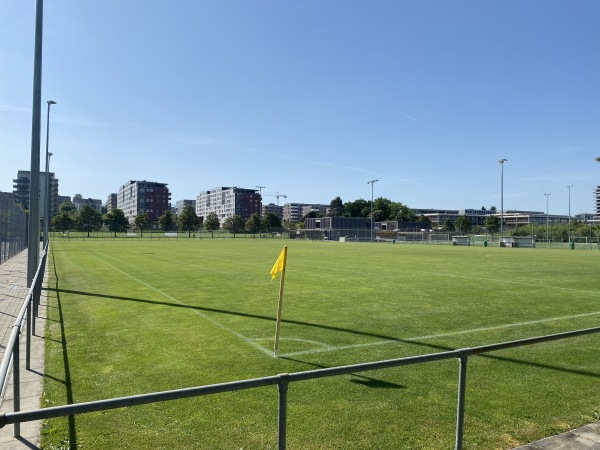 Stade des Arbères terrain B - Meyrin