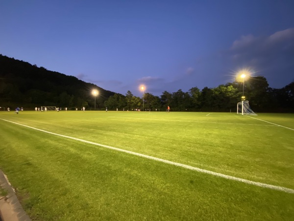 Sportplatz St. Martin - St. Martin/Pfalz