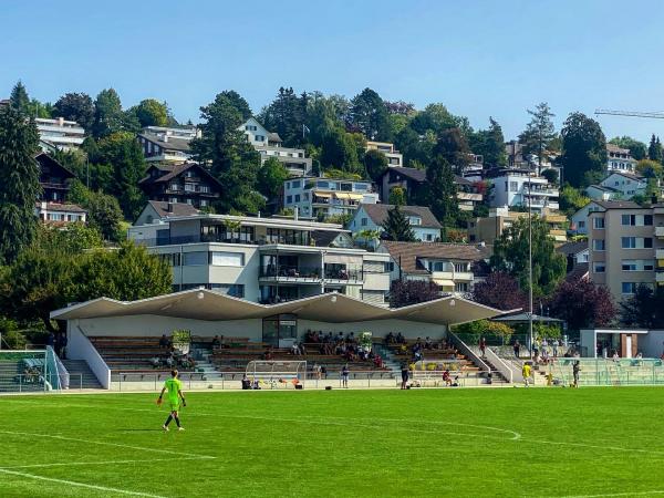 Sportplatz Heslibach - Küsnacht ZH