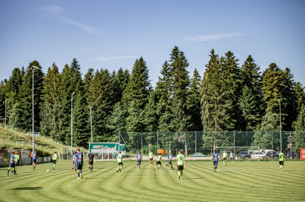 Waldstadion - Doren