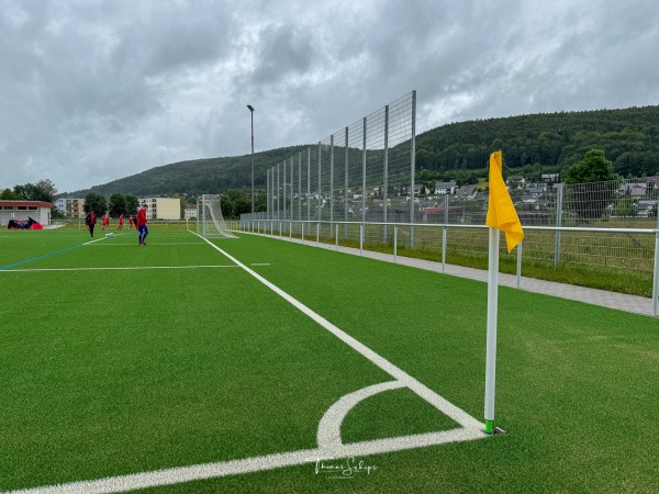 Werner-Gerber-Sportzentrum Platz 3 - Blumberg