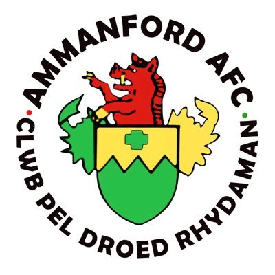 Wappen Ammanford AFC  33517
