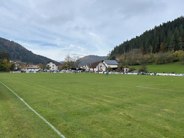 Sportplatz Hagenbrühl - Egesheim 