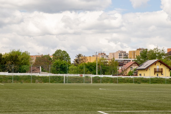 Újpest Labdarúgó Sportcentruma műfű - Budapest