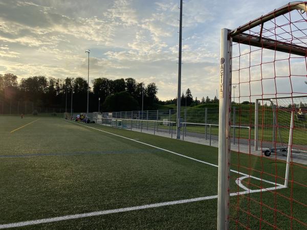 Sportplatz Schützenwiese Platz 3 - Rüti ZH