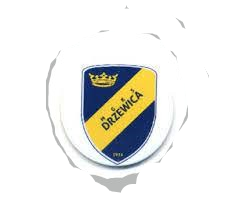 Wappen MGKS Drzewica 