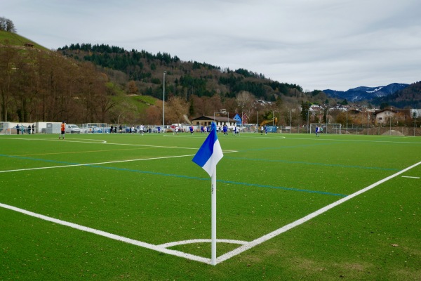 Sportplatz am Sulzbach - Sulzburg