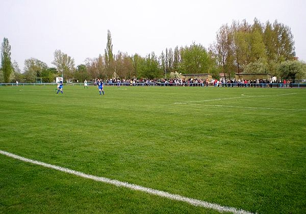 Sportzentrum Peter Müller - Seegebiet Mansfelder Land-Amsdorf