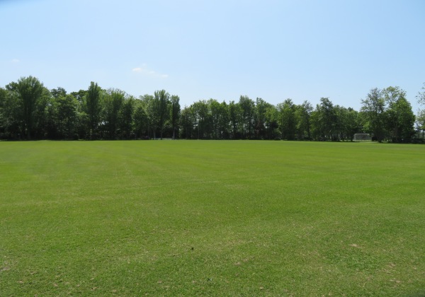 Sportpark Ter Specke veld 5 - Lisse