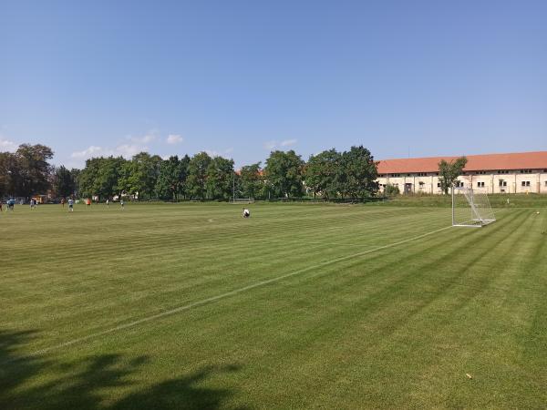 Fotbalové hřiště Těšany - Těšany